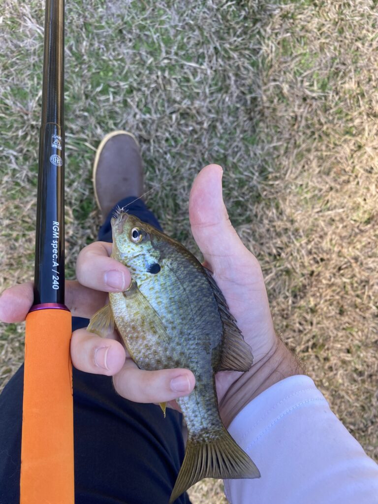 Beginners Guide to Microfishing: Tanago Rods